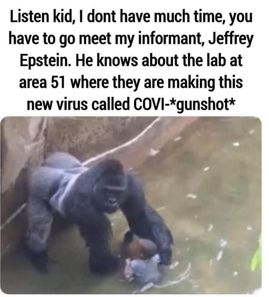harambe.jpg