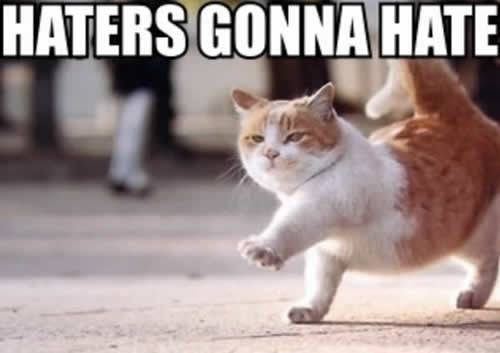 Haters-gonna-hate-cat.jpg