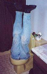head-stuck-in-toilet-picture.jpg
