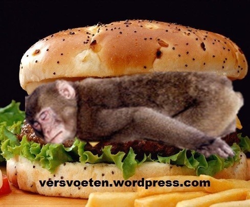 helaas-broodje-aap.jpg
