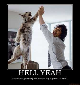 hell-yeah-andy-samberg-cat-high-five-demotivational-poster-1268926158.jpg