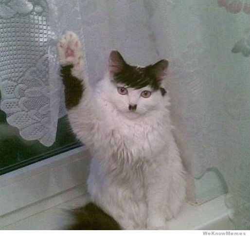 hitler-cat.jpg
