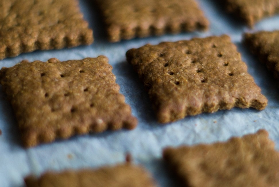 Honing-kaneel-graham-crackers-Freud-and-Fries-3.jpg