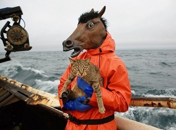 horse-with-cat-on-boat-in-storm-5907-1238034615-27.jpg