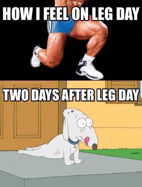 how-i-feel-on-leg-day-vs-two-days-after-leg-day-meme.jpg