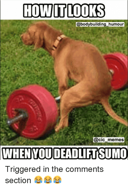 howit-looks-bodybuilding-humour-cic-memes-when-youdeadliftsumo-triggered-in-23601299.png