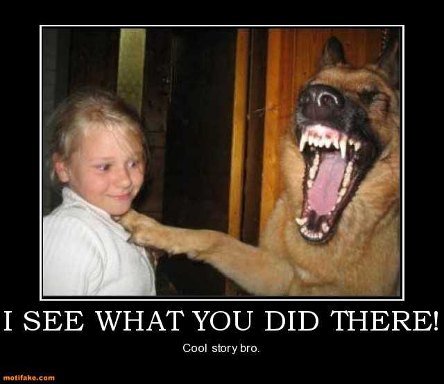 i-see-what-you-did-there-i-see-cool-story-demotivational-posters-1328118253.jpg