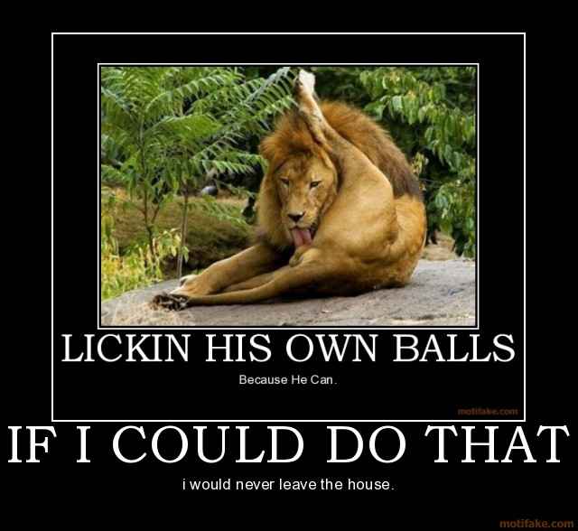 if-i-could-do-that-cat-lion-balls-demotivational-poster-1210608595.jpg