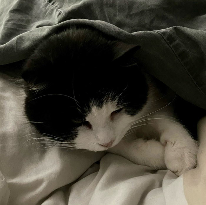 image0 (1)_edited (1).jpg