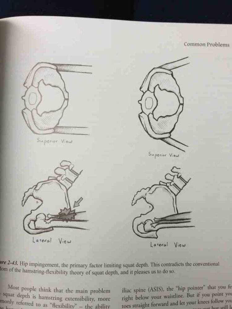 ImageUploadedByTapatalk 21361714789.069966.jpg