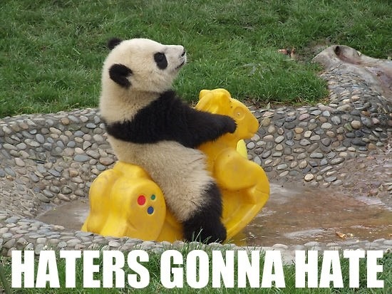 img-haters-gonna-hate-panda-352.jpg