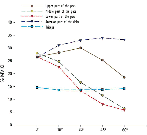incline-bench-press-muscle-groups.gif