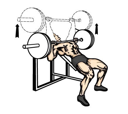 incline_barbell_press.jpg