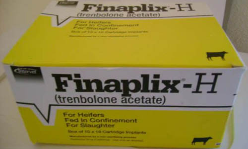 intervet-finaplix-h.jpg