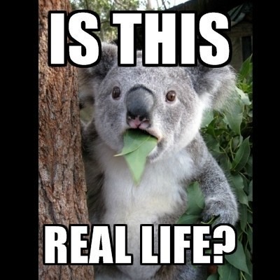 is-this-real-life.jpg