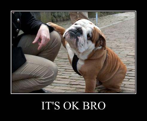its-ok-bro-dog-demotivator.jpg