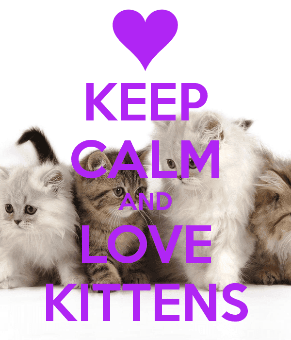 keep-calm-and-love-kittens-185.png