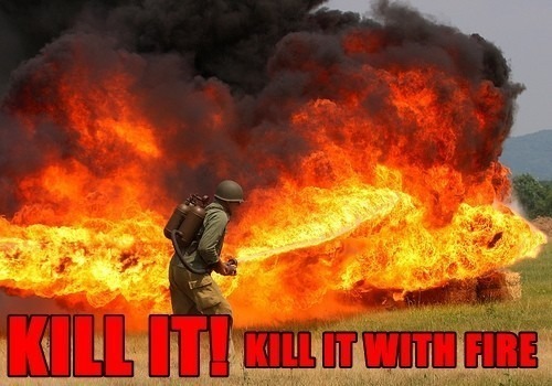 KILL_IT_WITH_FIRE_FUNNY_FORUM_PICS-s500x350-132460.jpg