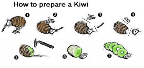 kiwi-prep.jpg