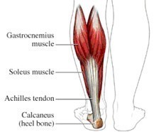 kuit-achilles-220 (1).jpg