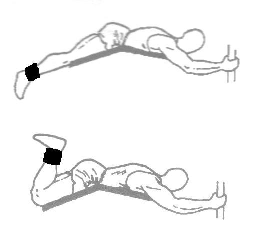 leg-curls-exercise.jpg