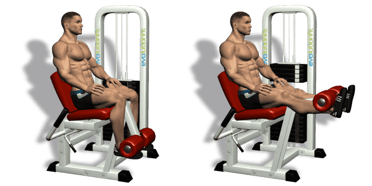 Leg_Extension.png