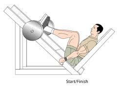 legpress1.jpg