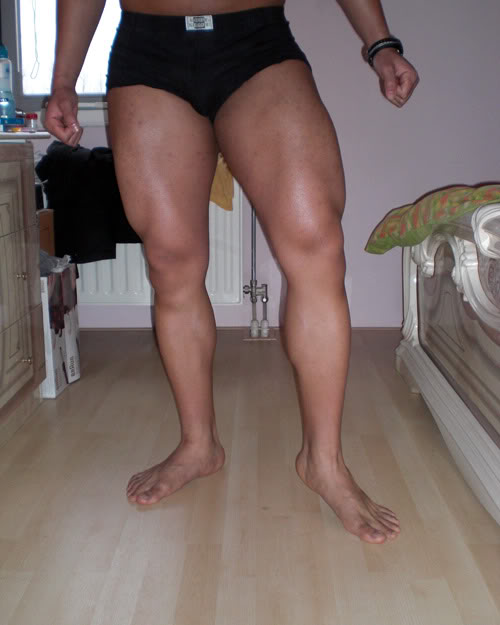 legs1.jpg