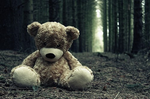 lonely-lost-sad-teddy-bear-woods-Favim.com-44395.jpg