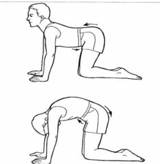 LowerBack1Stretch.jpg