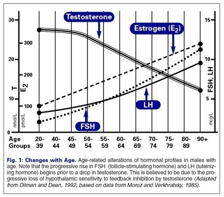 LowerTestosterone-Higher-Estrogen.jpg