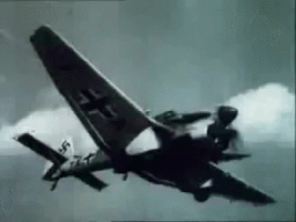 Luftwaffe.gif