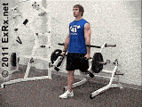 LVSingleLegSplitSquat.gif