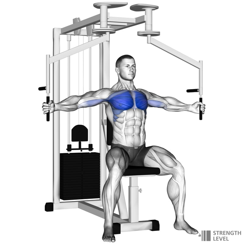 machine-chest-fly-800.jpg