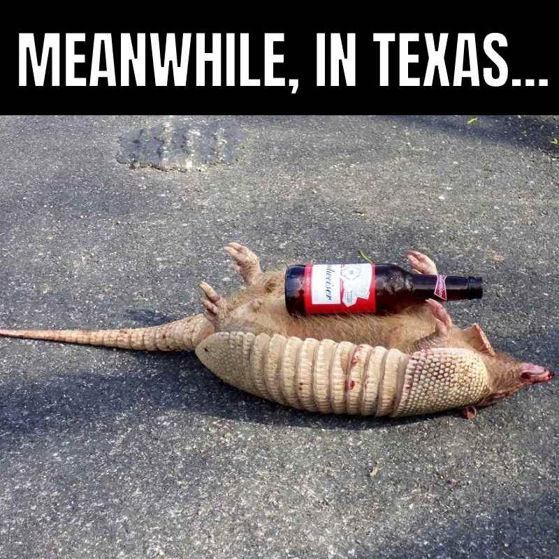 meanwhile-in-texas-meme-1827980713.jpg
