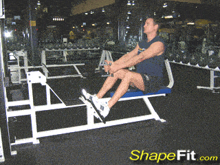 middle-back-exercises-seated-cable-rows.gif