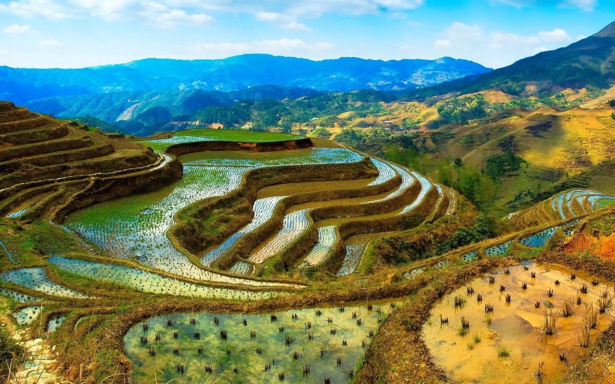 mountains_rice_fields_landscape_wide.jpg