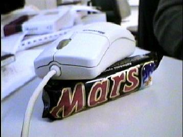 Mouse%20Found%20On%20Mars.jpg