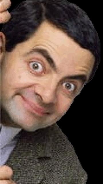 Mr-Bean-mr-bean-31204463-360-640.jpg