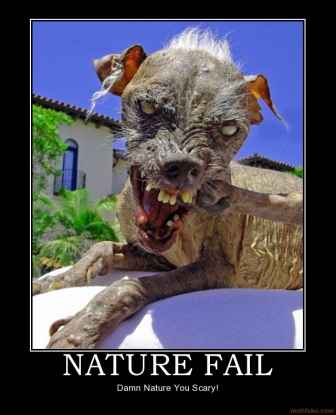 nature-fail-dog-scary-nature-fugly-fail-demotivational-poster-1264644642.jpg