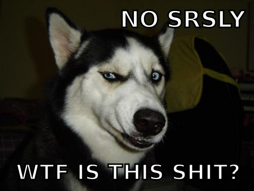 no%20srsly%20wtf%20is%20this%20shit.jpg