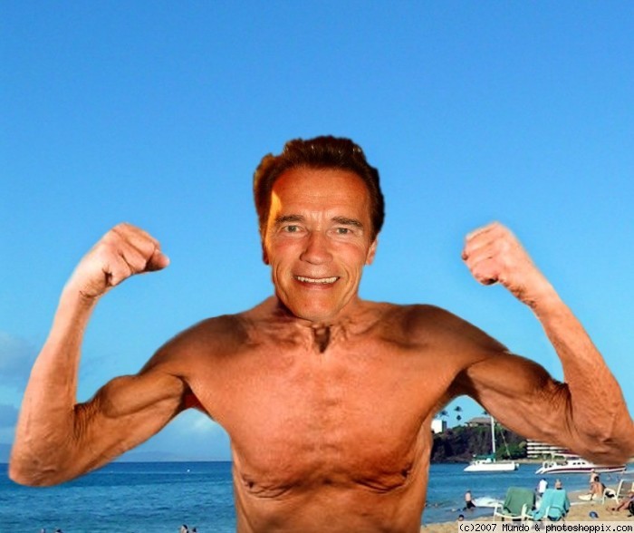 normal_arnold_on_the_beach.jpg