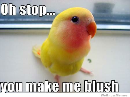 oh-stop-you-make-me-blush.jpg