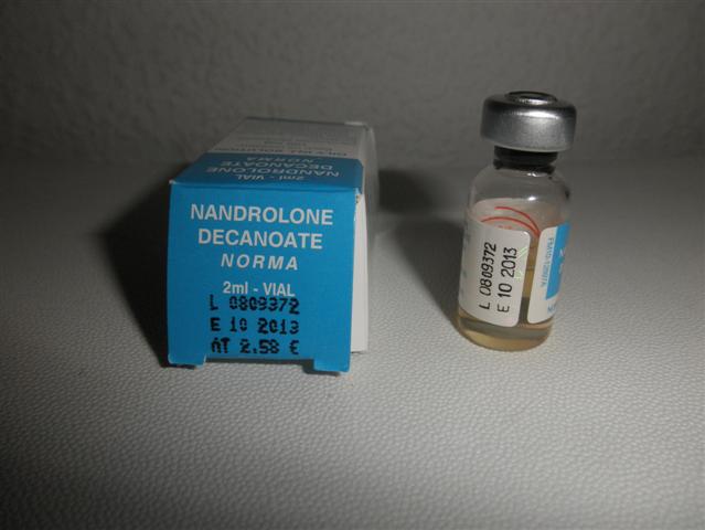 P3150065 (Small).JPG