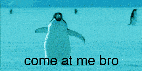 Penguin-come-at-me-bro.gif