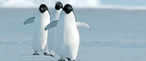 penguin-icegif.gif