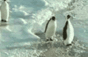 PenguinPush3.gif