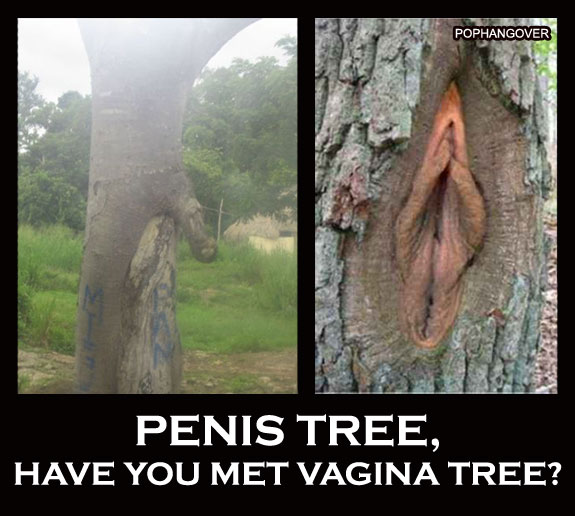penis-vagina-tree.jpg