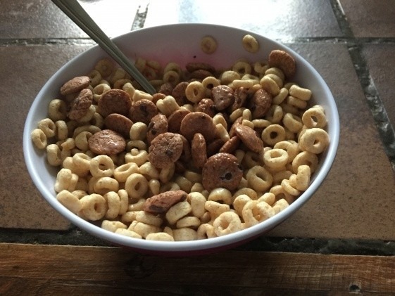 Photo 05-01-15 15 46 49.jpg