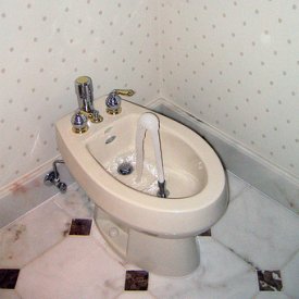 porcelain-type-bidet.jpg